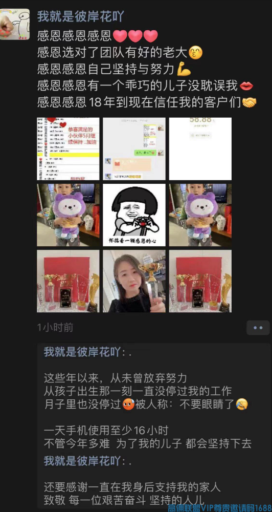 高佣联盟APP官方交流学习福利社群