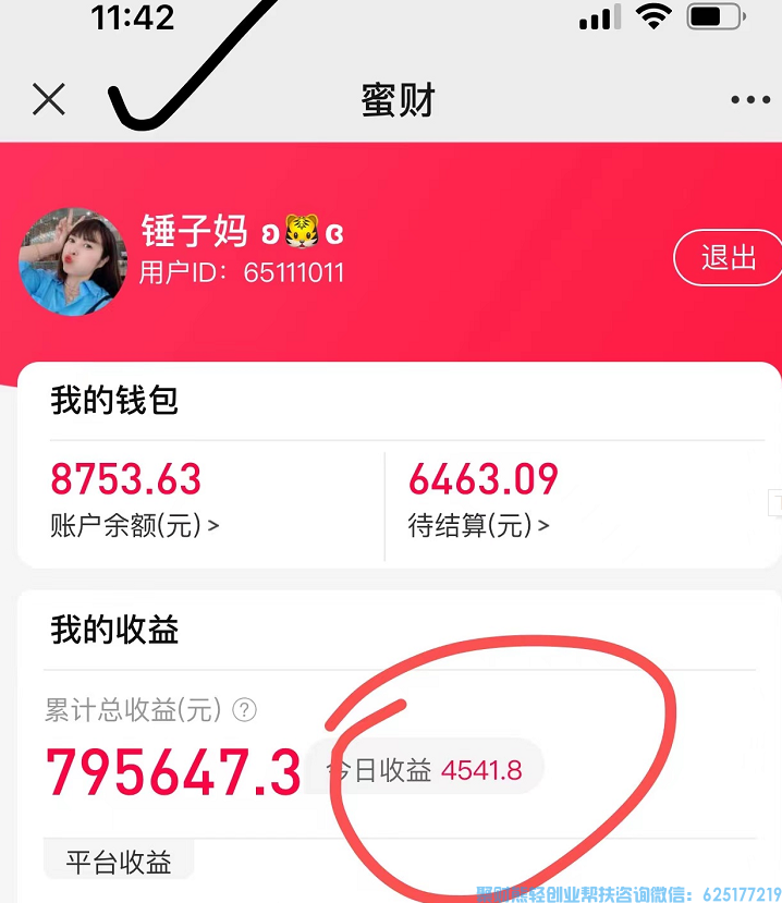 蜂享家优秀合伙人锤子妈，月入过万，一起来看看她和蜂享家的故事吧