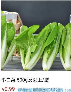 优秀总监芳芳分享，线上线下结合模式，打造高佣社区生活团购圈(图5)