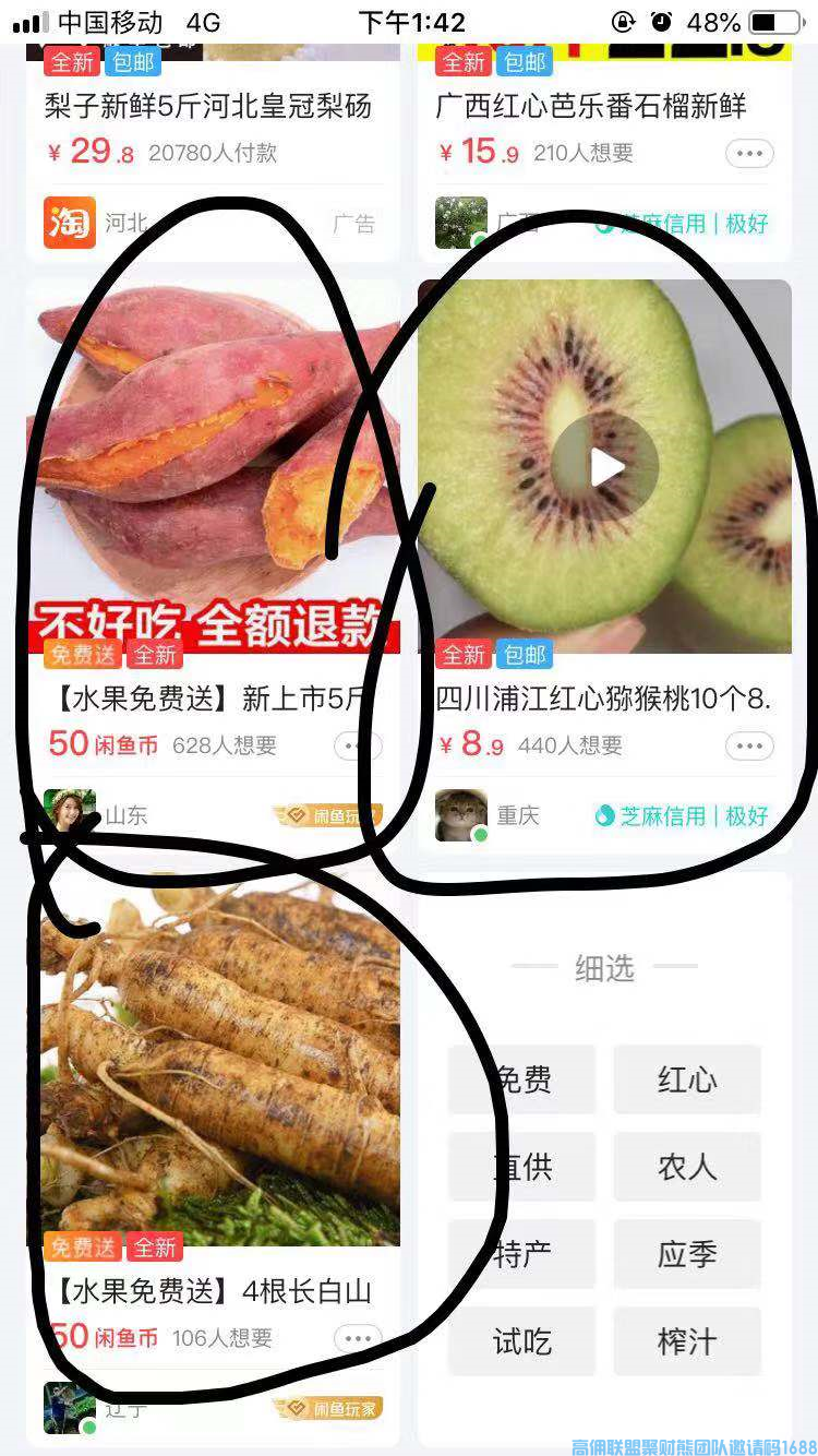 高佣联盟优秀总监奋斗5年淘客经验，分享如何利用闲鱼引流增加收益(图5)